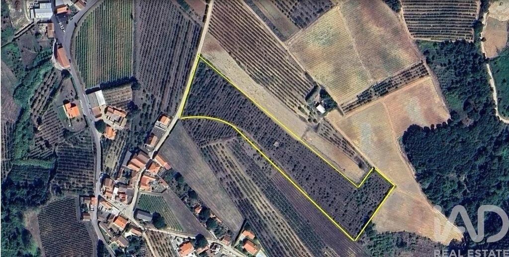 1 - venta terreno carvalhal región centro portugal