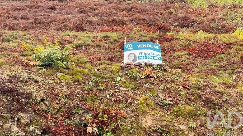 2 - plot of land for sale in arouca north region portugal
