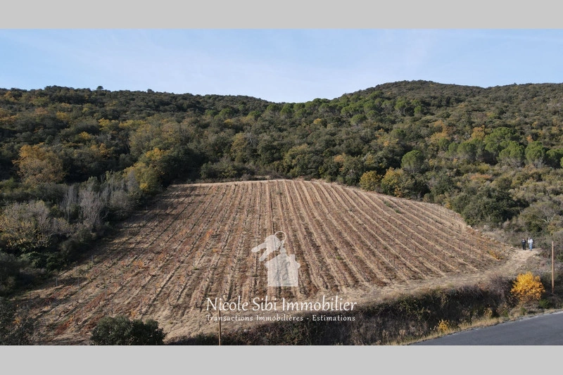 1 - verkoop terrein lansac pyrénées-orientales frankrijk