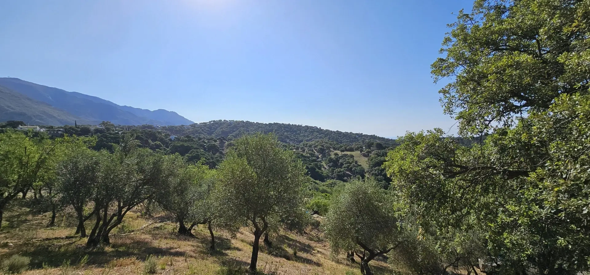 1 - verkoop terrein casares - costa del sol andalusië spanje