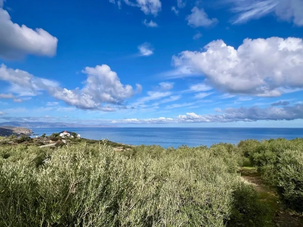 1 - verkauf grundstück meerblick mókhlos kreta griechenland