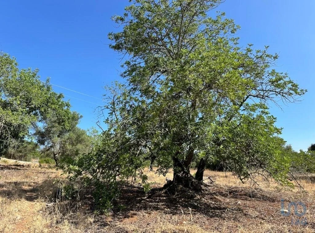 2 - venta terreno luz de tavira algarve portugal