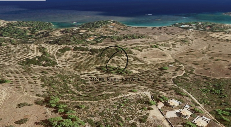 1 - vente terrain kounoúpi péloponnèse grèce