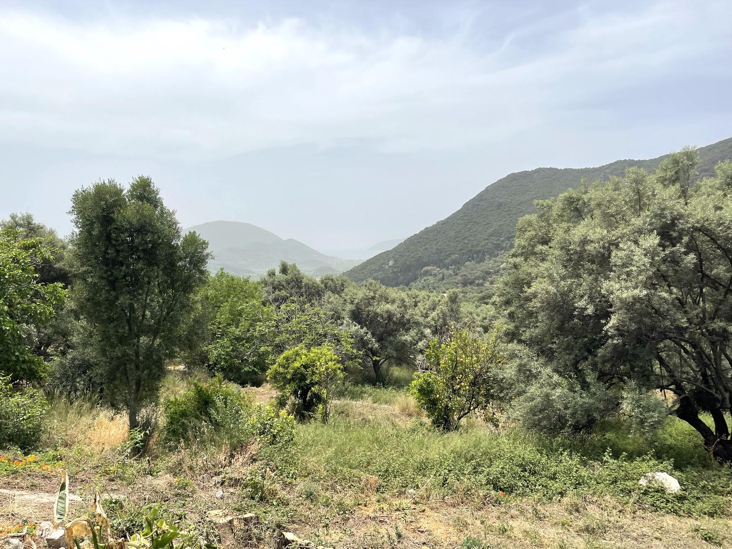 2 - vente terrain vue mer lefkada îles ioniennes grèce