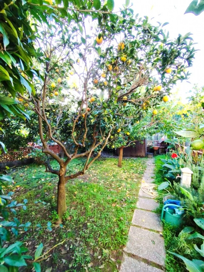 1 - venta villa piombino toscana italia
