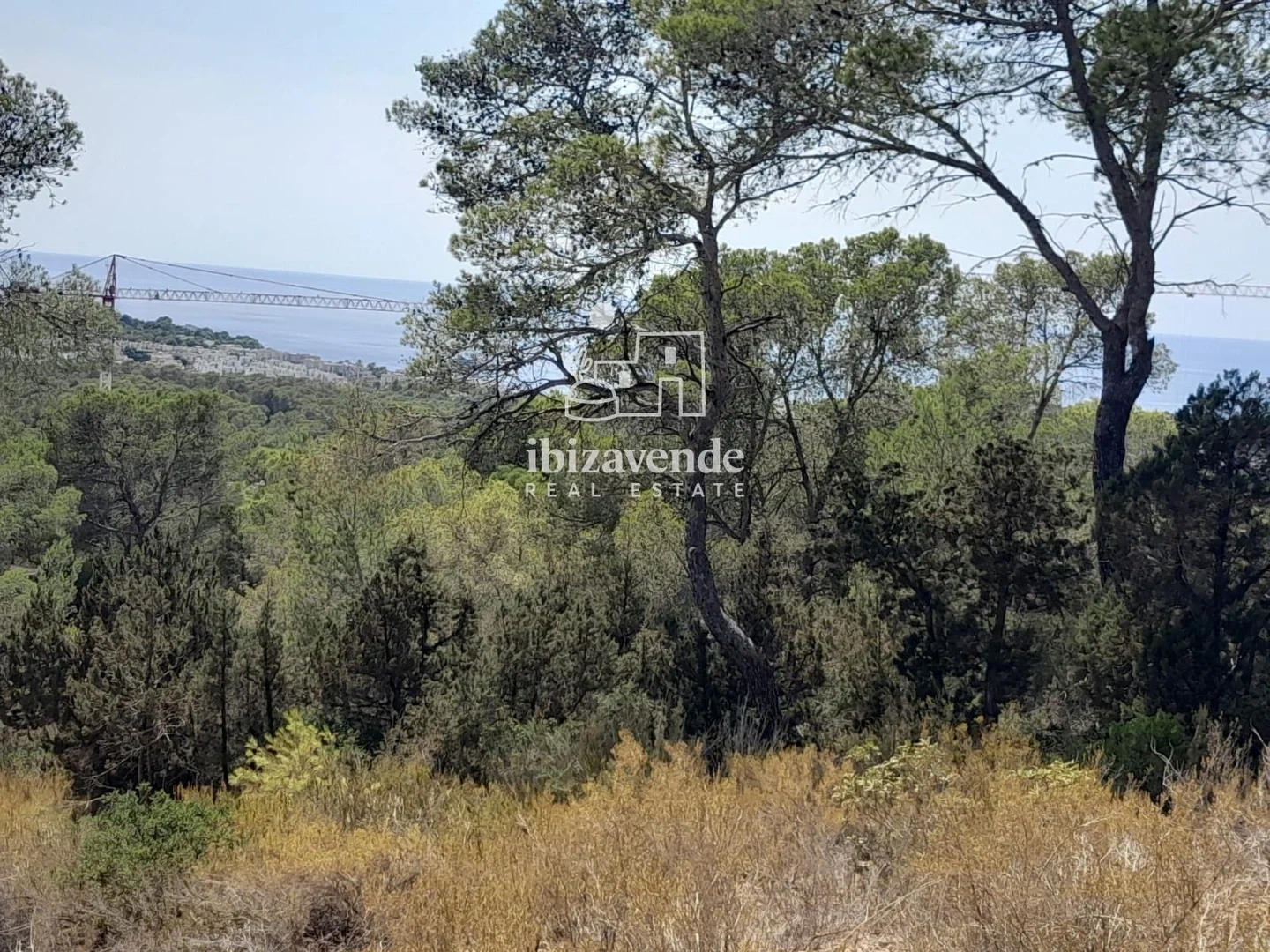 2 - verkauf anwesen meerblick sant josep de sa talaia ibiza - balearen spanien