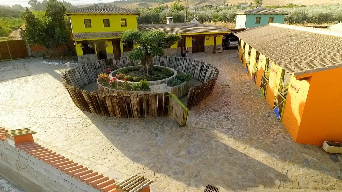 2 - venta comercio coin andalucía españa