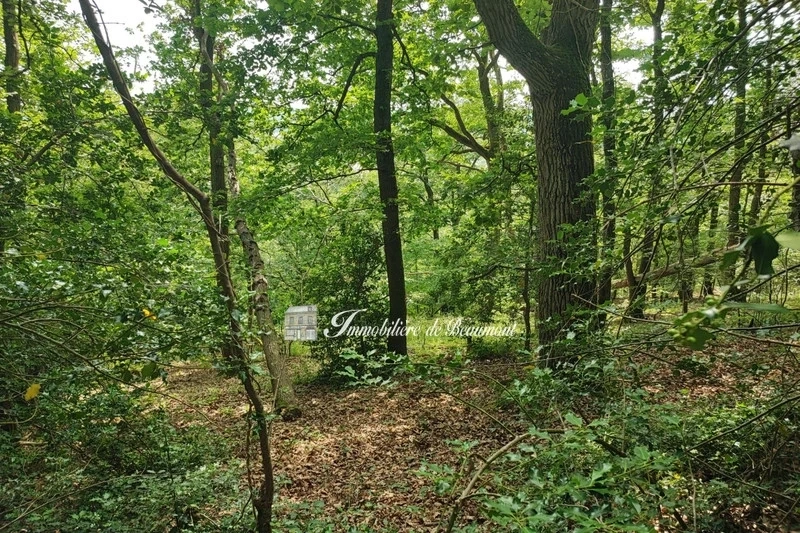 2 - verkoop terrein beaumont-le-roger eure frankrijk