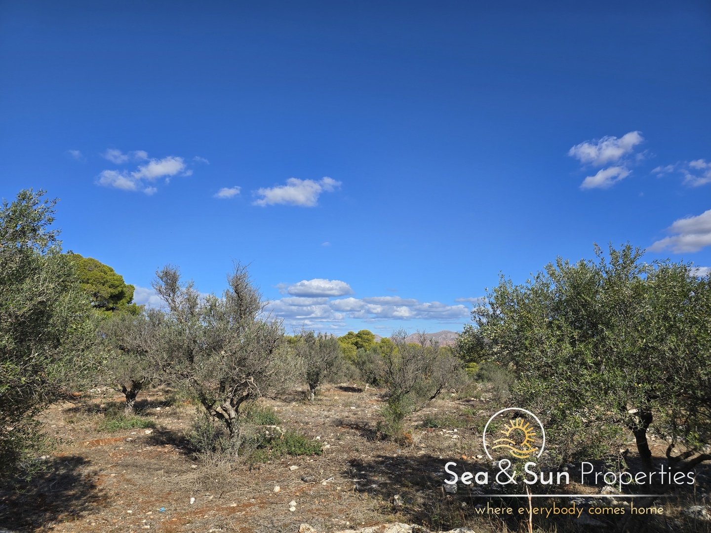 1 - beach walk plot of land for sale in akrotiri crete greece