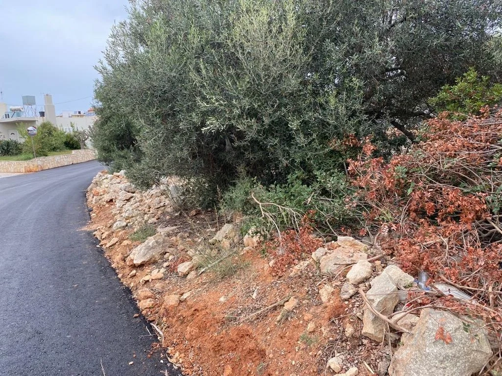 1 - vente terrain kounoupidianá crète grèce