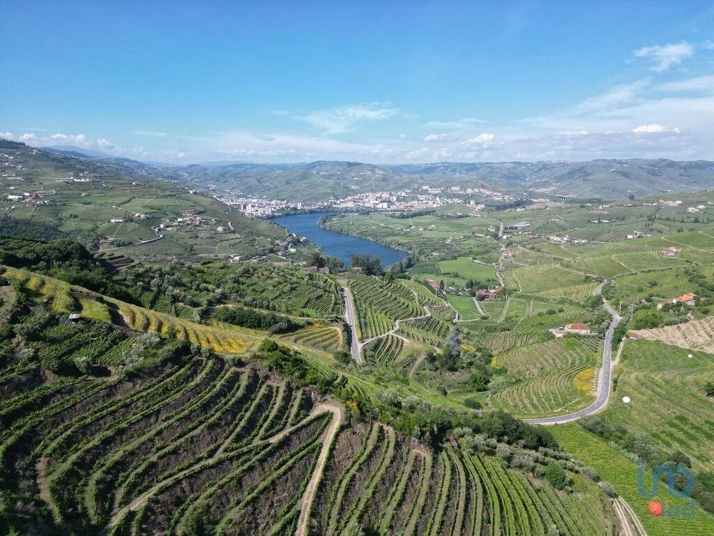 1 - продажа территория lamego северный регион португалия