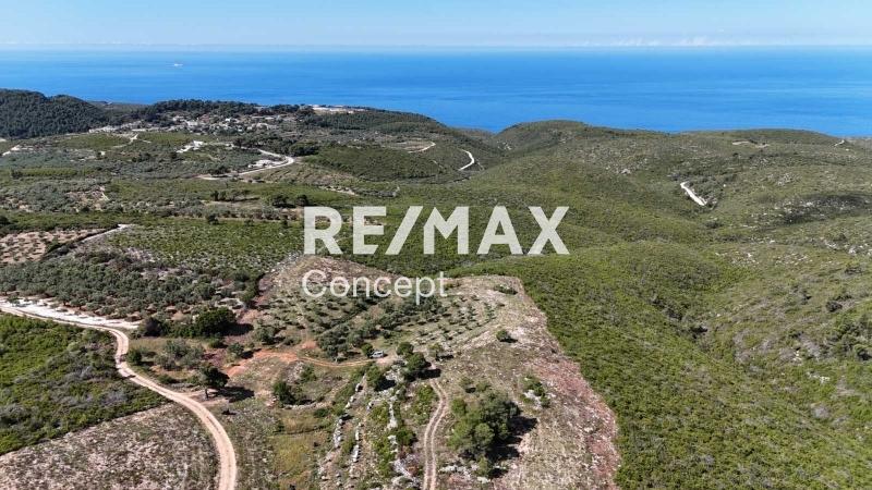 1 - vendita terreno vista mare zante isole ioniche grecia