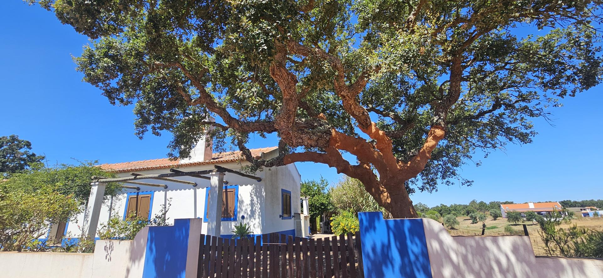 1 - vente propriété vale de água alentejo portugal