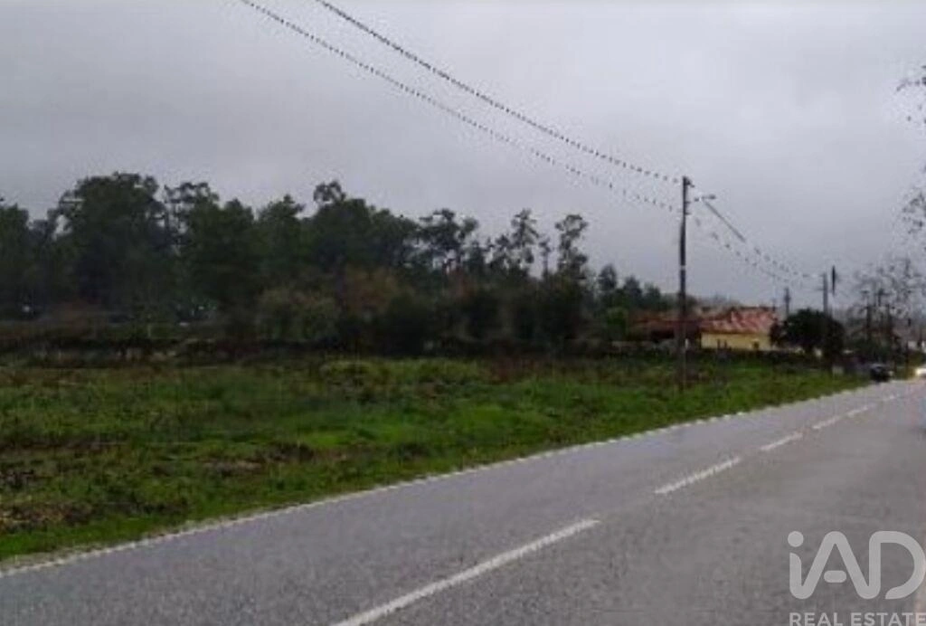 1 - plot of land for sale in tondela centro region portugal