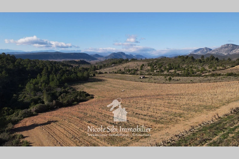 2 - venta terreno tautavel pirineos orientales francia
