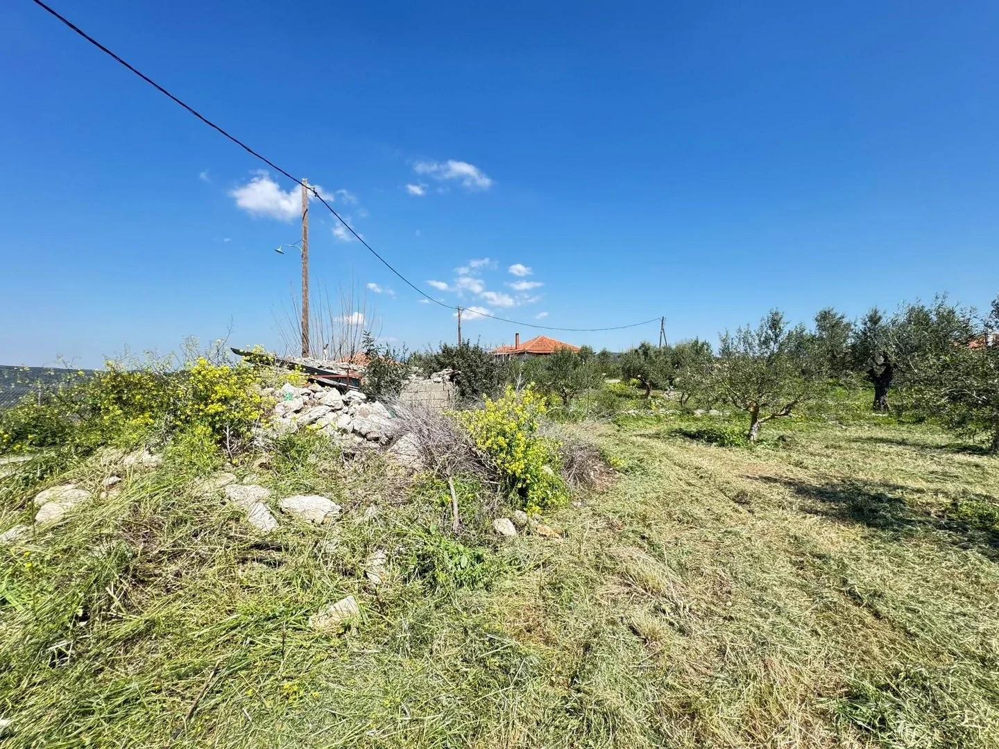 2 - vente terrain koróni péloponnèse grèce