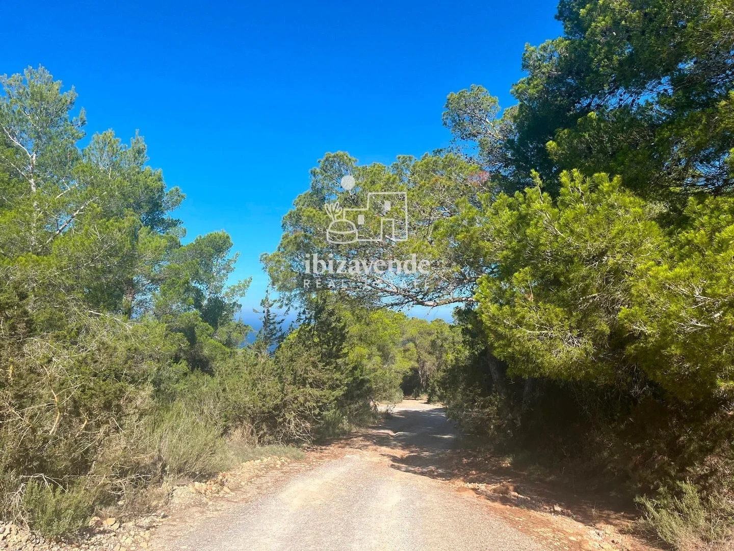 2 - vendita proprietà sant josep de sa talaia ibiza - baleari spagna