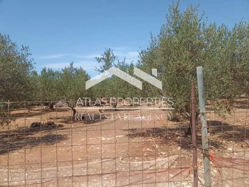 2 - продажа территория kampáni крит греция