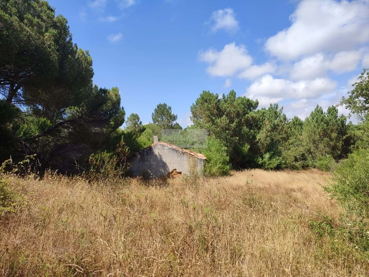 1 - estate for sale in aljezur algarve portugal