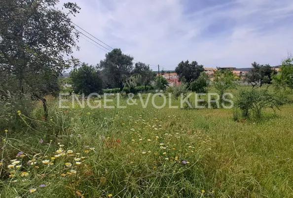 1 - venta terreno boliqueime algarve portugal