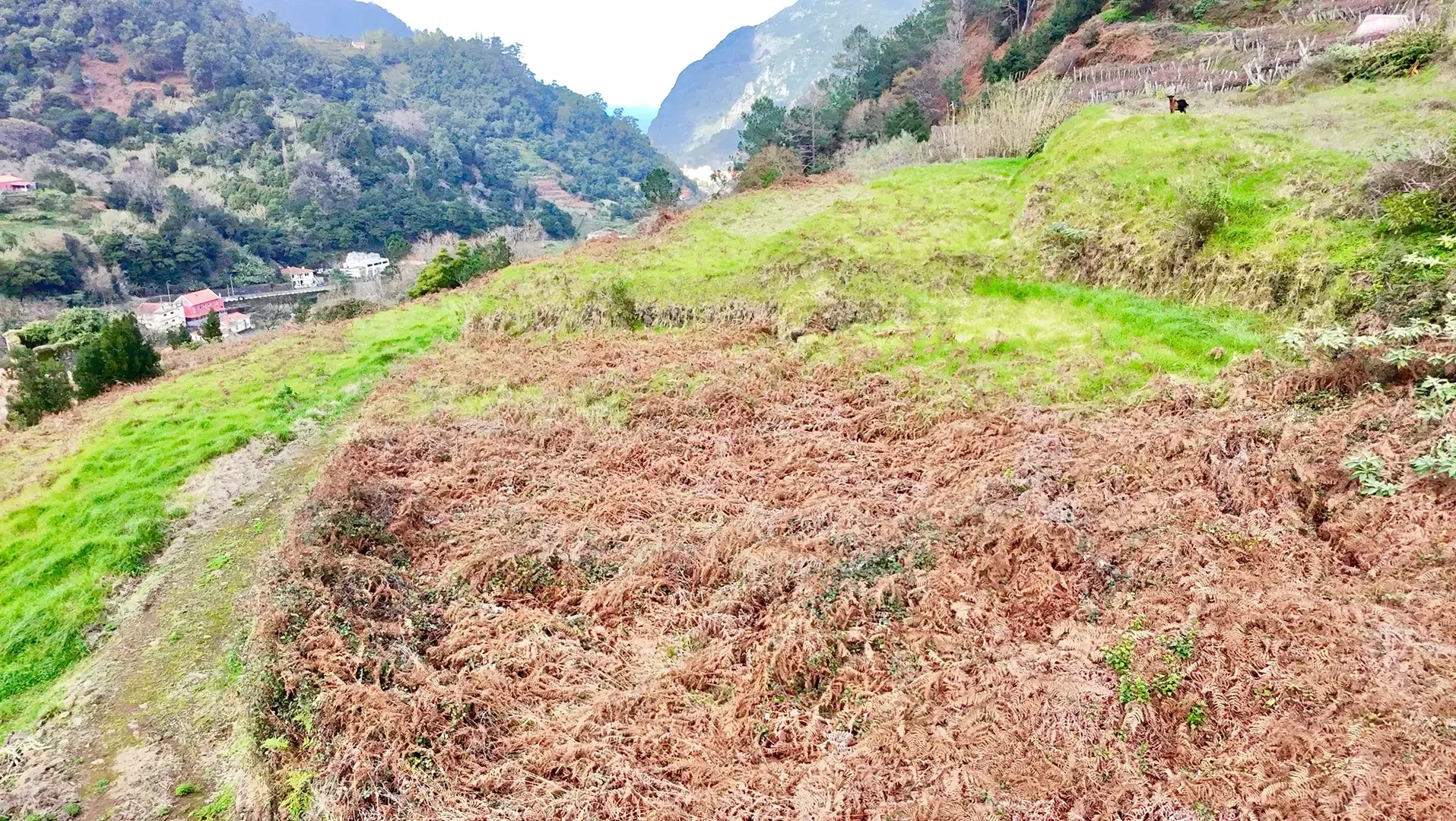 2 - vente terrain são vicente madère portugal