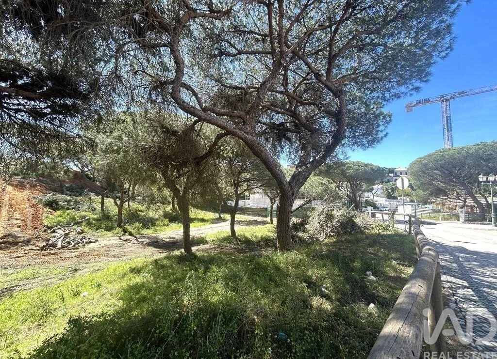 2 - vendita terreno almancil algarve portogallo