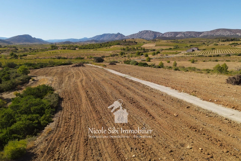 2 - venta terreno tautavel pirineos orientales francia