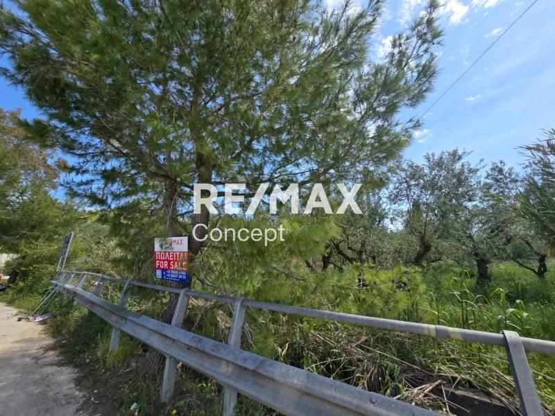 Terreno di 1 000 m²