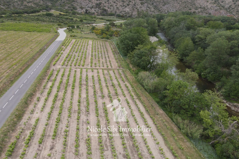 2 - vendita terreno latour-de-france pirenei-orientali francia