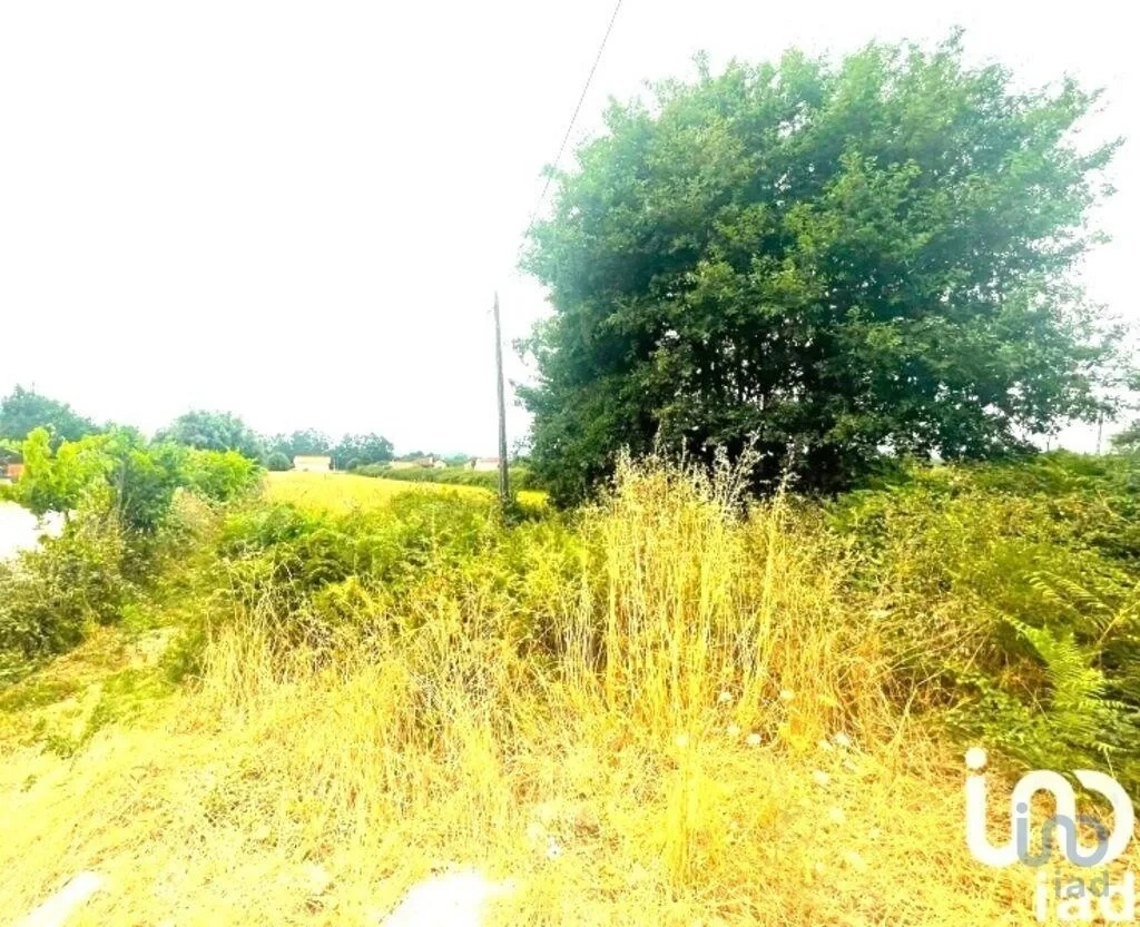 1 - business for sale in viana do castelo north region portugal