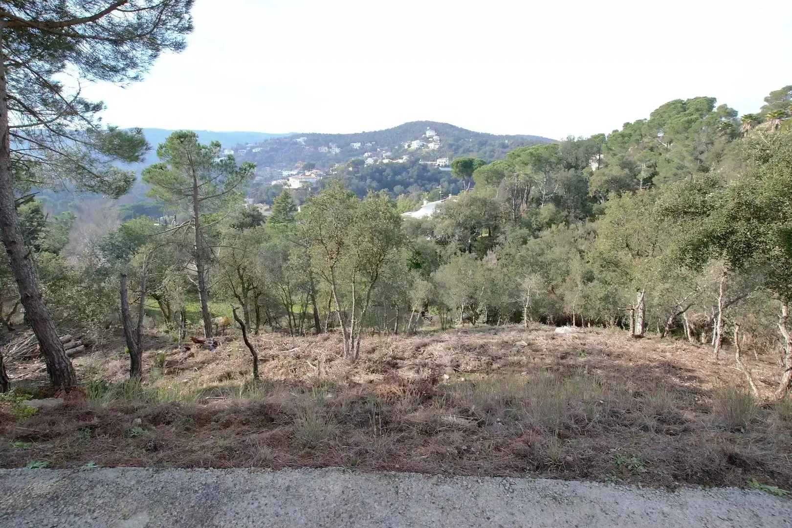 1 - venda terreno calonge catalunha espanha
