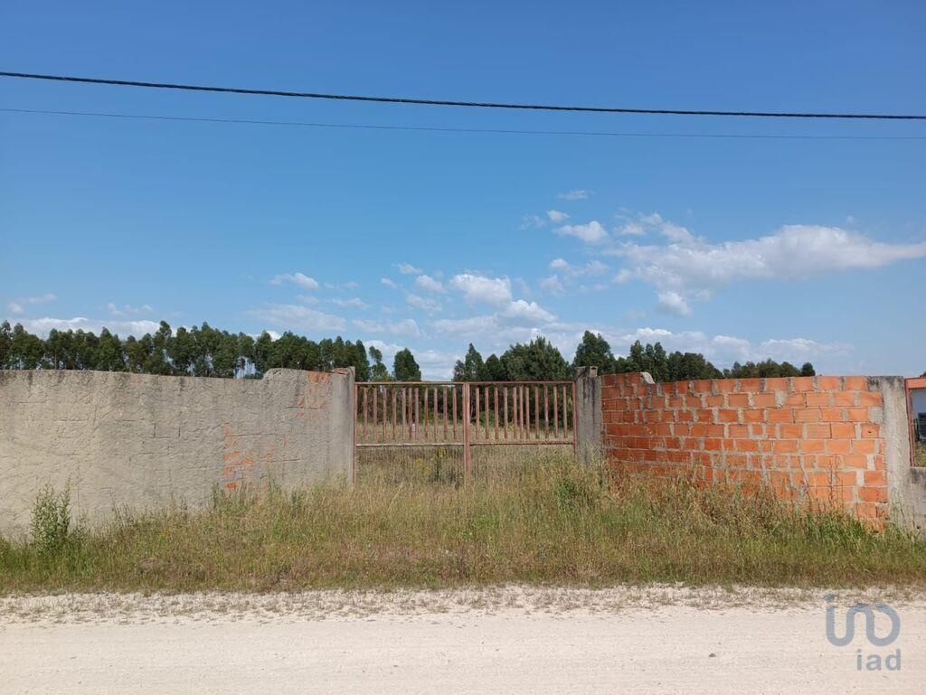 2 - продажа территория benavente алентежу португалия