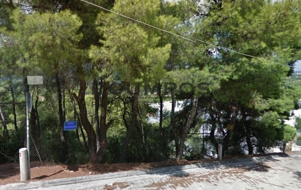 2 - vente terrain ekali attique grèce