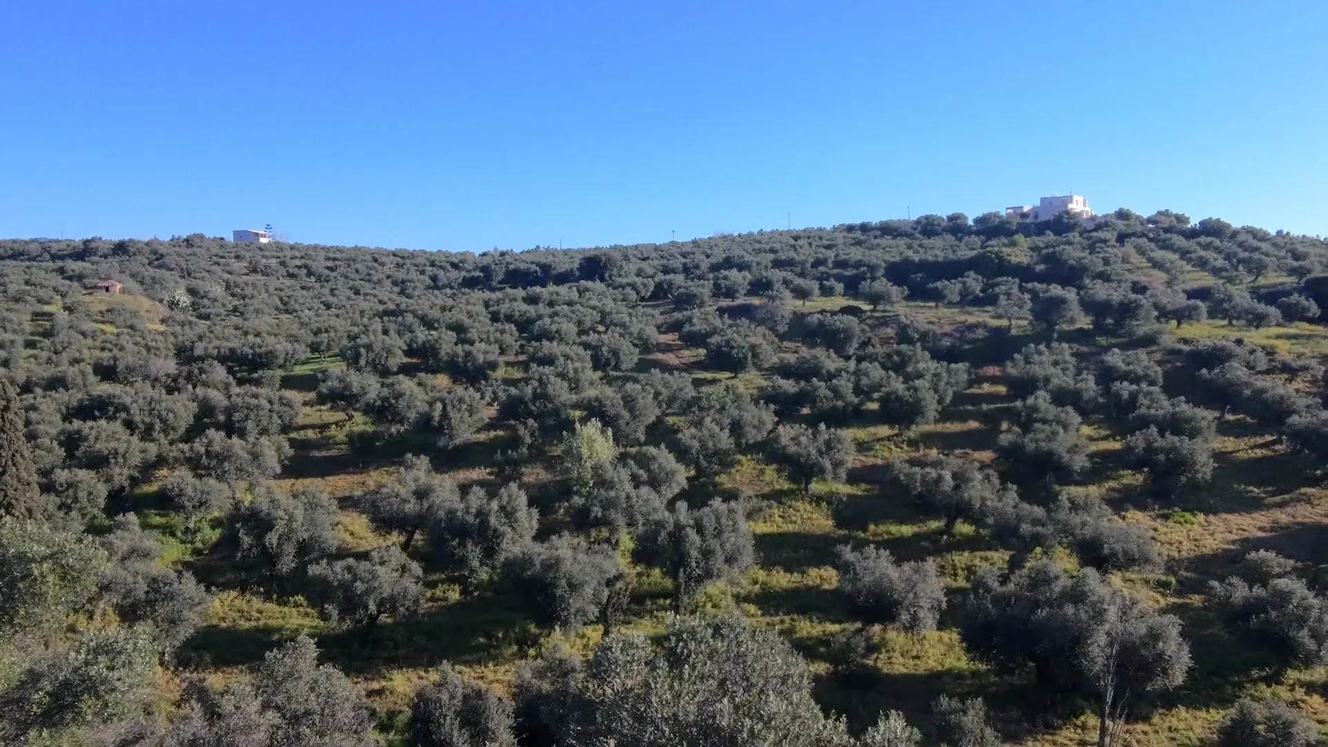 1 - vente terrain vue mer koróni péloponnèse grèce