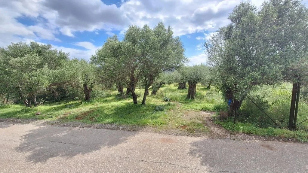 1 - plot of land for sale in agios nikolaos crete greece