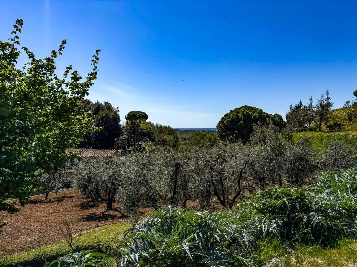 2 - sea view plot of land for sale in casale marittimo tuscany italy