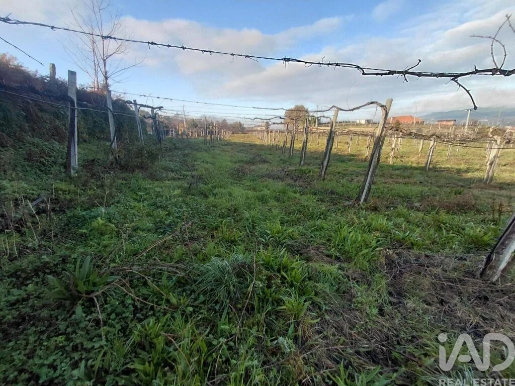 2 - venta terreno monção región norte portugal