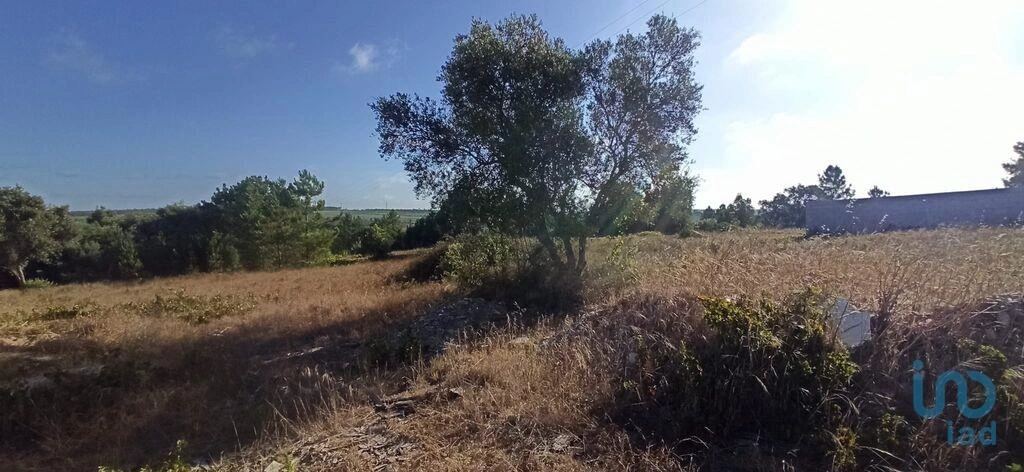 2 - venta terreno coruche alentejo portugal