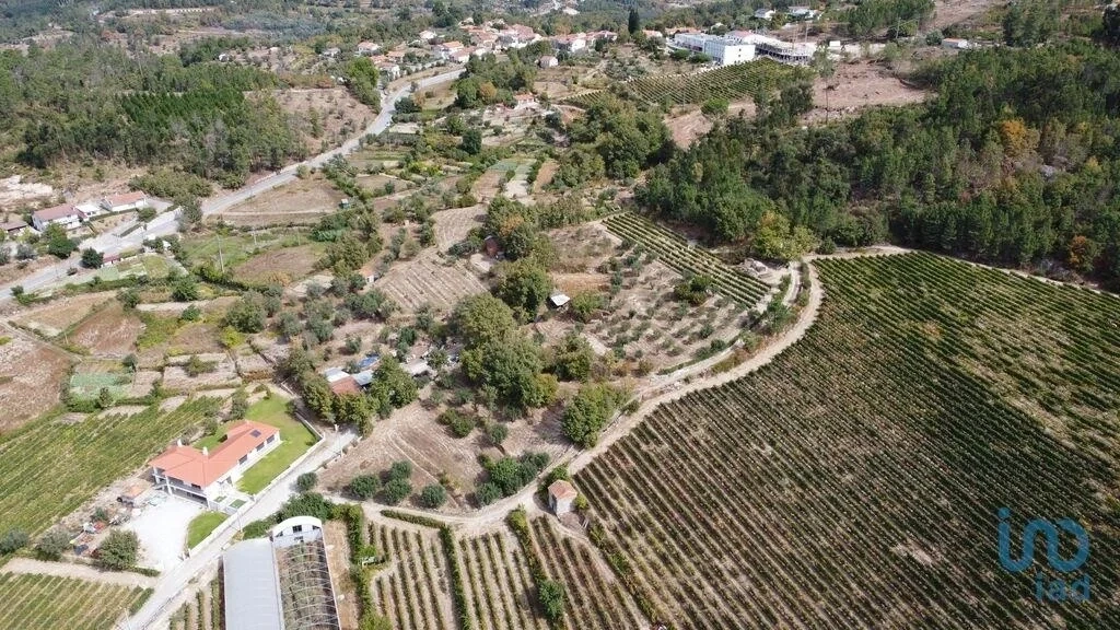 2 - vendita terreno germil regione nord portogallo