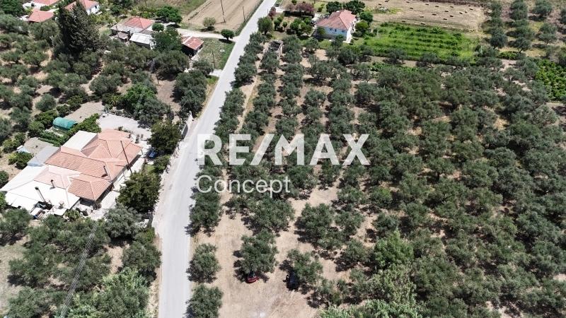 2 - vendita terreno zante isole ioniche grecia