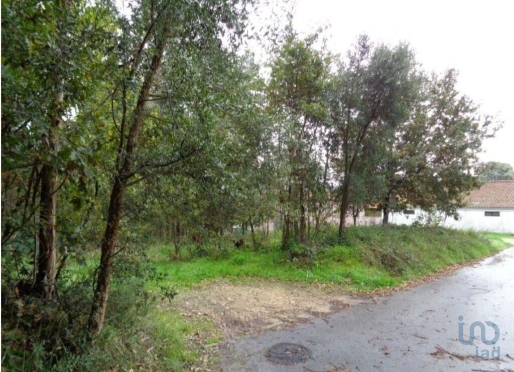 1 - venta terreno ovar región centro portugal
