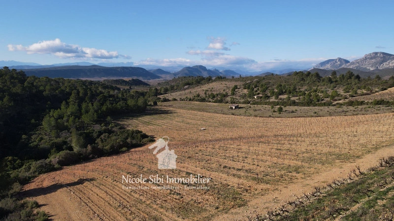 2 - verkoop terrein tautavel pyrénées-orientales frankrijk