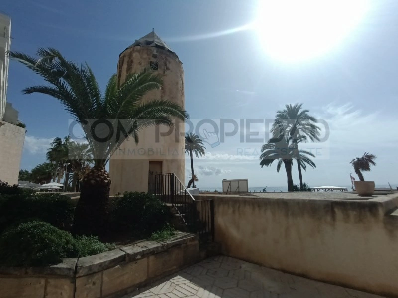 2 - business for sale in palma de mallorca majorca - balearic islands spain