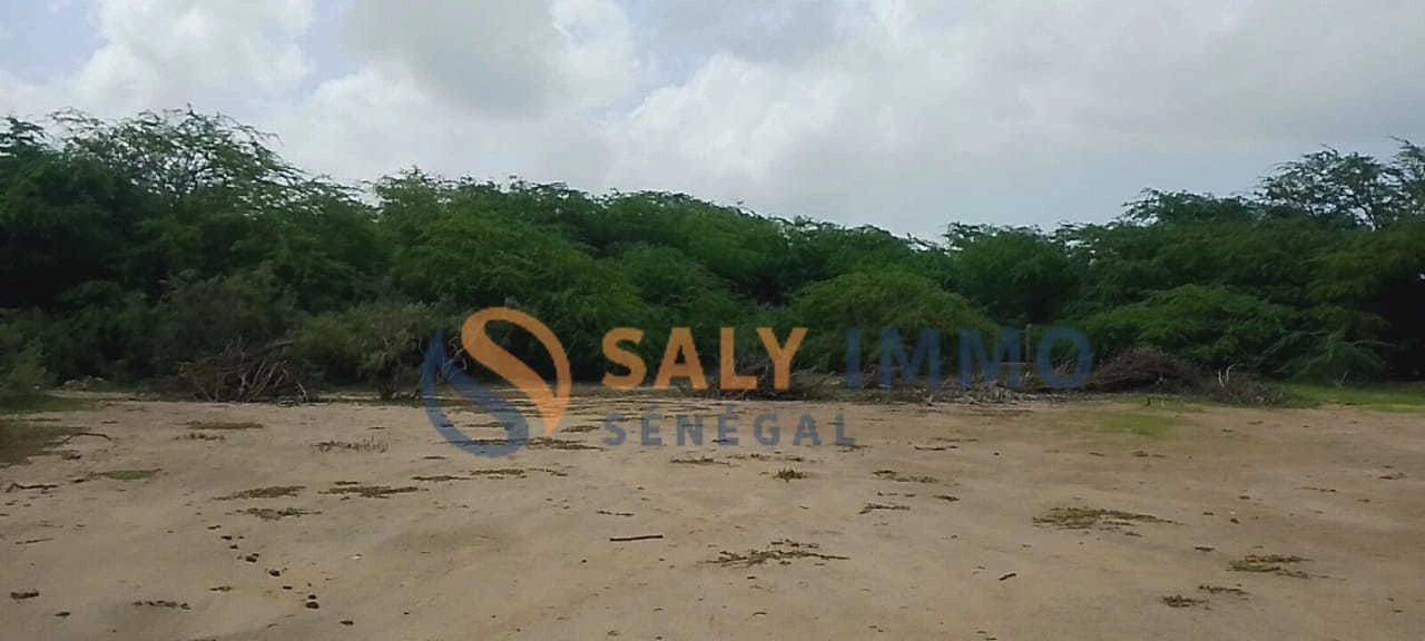 2 - verkoop terrein la somone thiès senegal