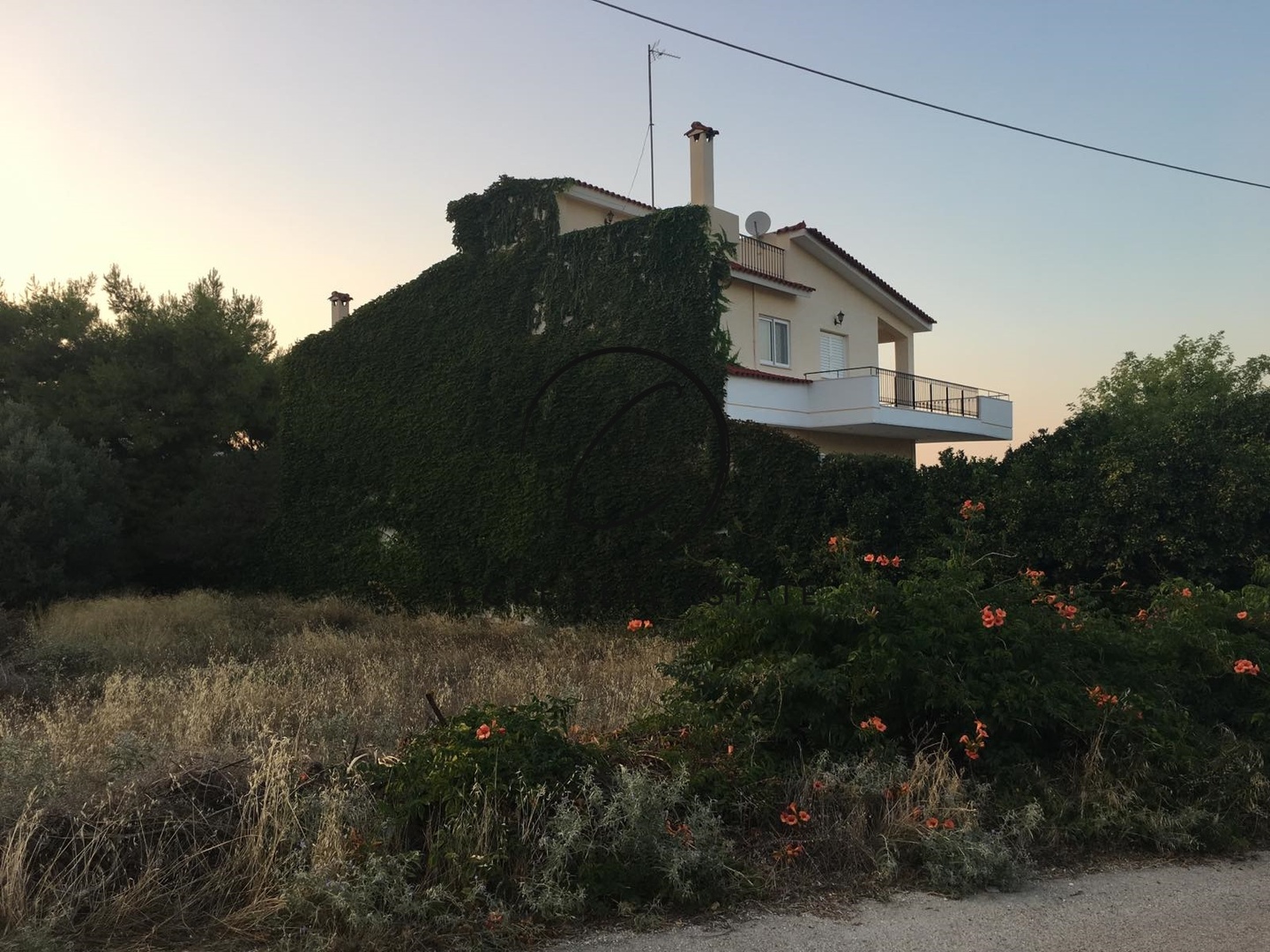 2 - vente terrain nea makri attique grèce