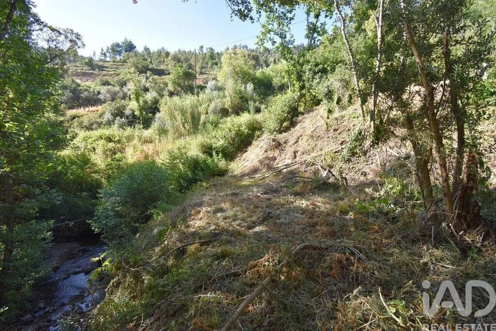 1 - plot of land for sale in espinhal centro region portugal