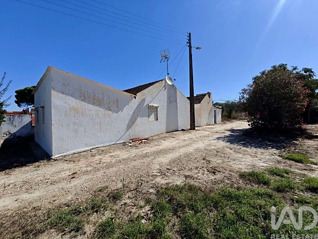 2 - vendita proprietà coruche alentejo portogallo