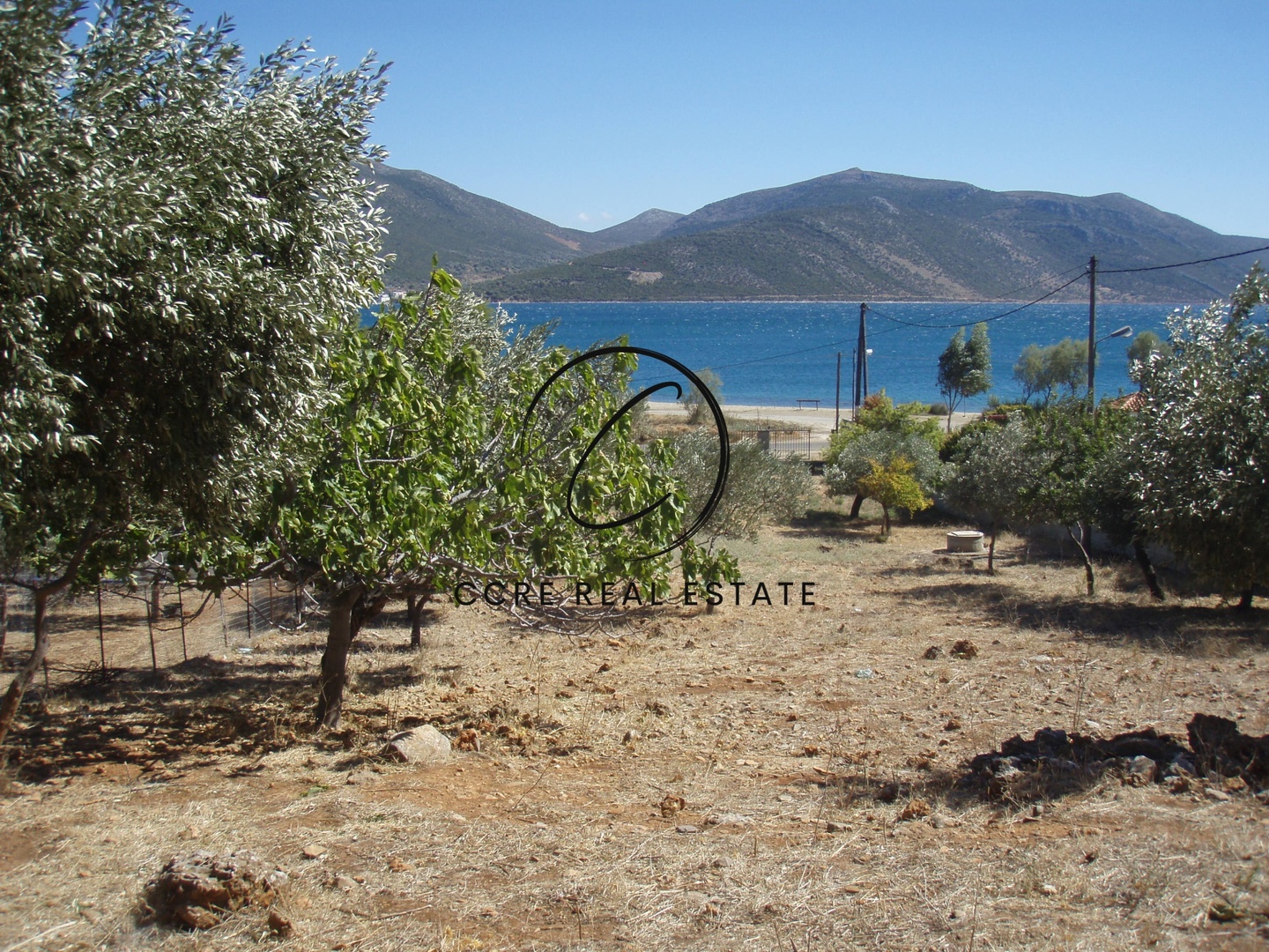 1 - vente terrain plage à pied almiropótamos grèce centrale grèce