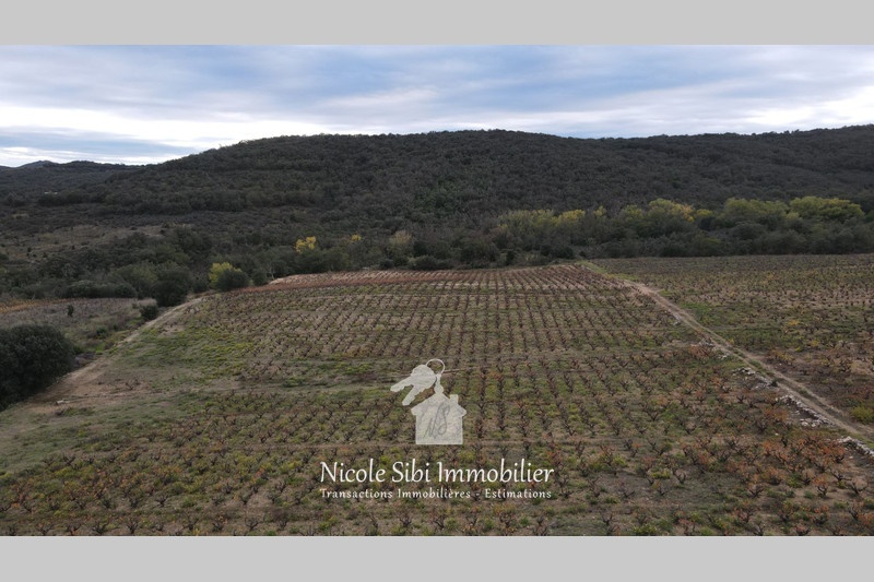 1 - verkoop terrein lansac pyrénées-orientales frankrijk