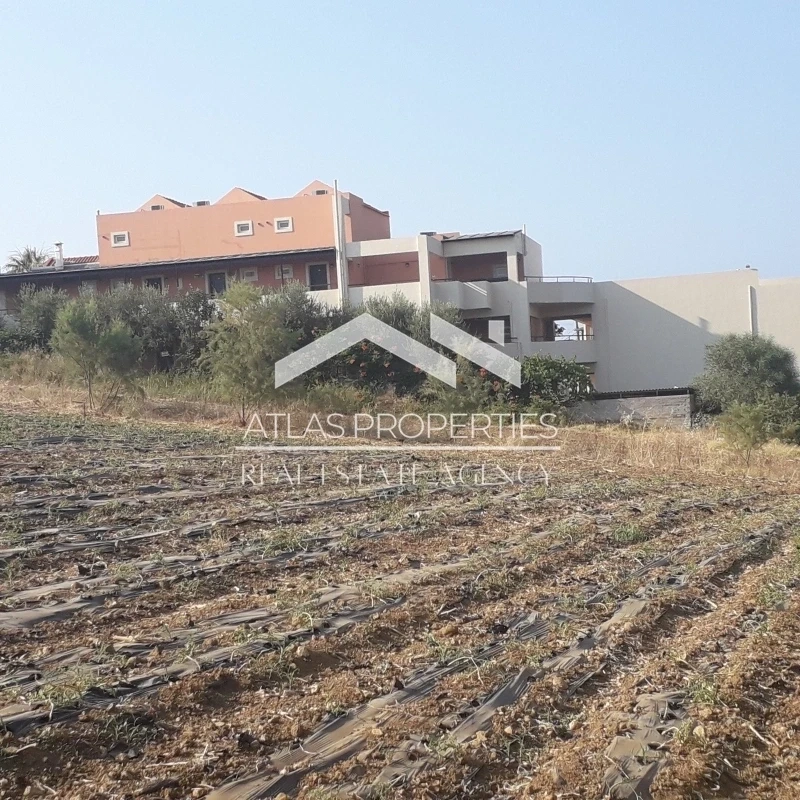 1 - vente terrain plage à pied nea kydonia crète grèce